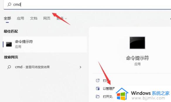 windows11绿屏无限重启怎么回事_win11电脑绿屏一直重启的解决方法