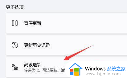 win11地平线4打不开怎么办_win11地平线4进不去如何处理