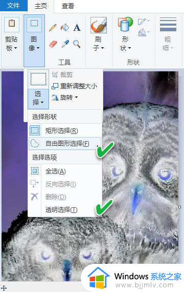 windows画图使用教程_windows画图功能怎么使用