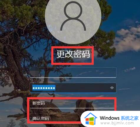 win11怎么无密码登录_win11如何设置免密码登录