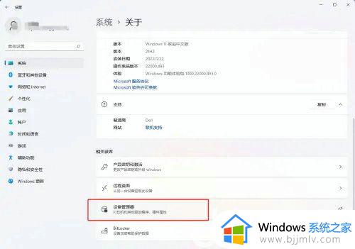 windows11如何查看显卡类型 win11系统查看显卡信息的方法