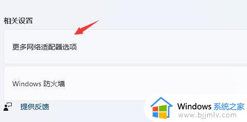 win11电脑微软账户登不上去怎么办_win11开机无法登录微软账户处理方法