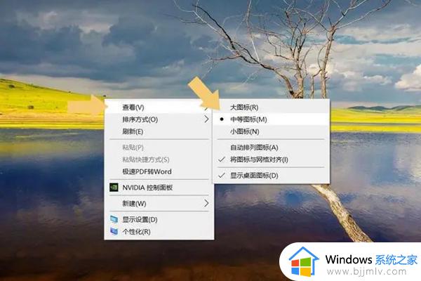 windows桌面图标大小怎么调_windows图标大小设置方法