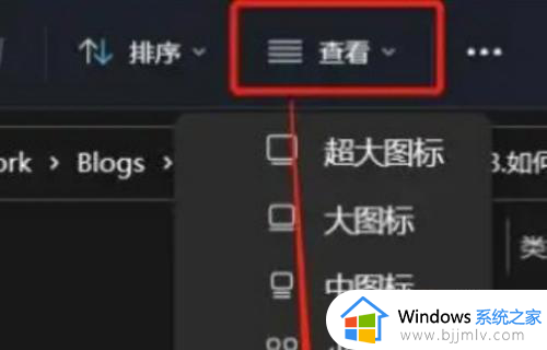 windows11怎么更改文件类型_win11怎么改文件后缀名格式