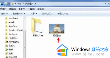 win7文件名后缀如何显示_win7文件后缀名怎么显示出来