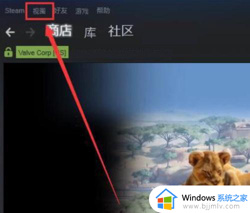 steam直播怎么开_steam如何开直播的方法