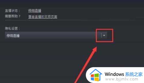 steam直播怎么开_steam如何开直播的方法