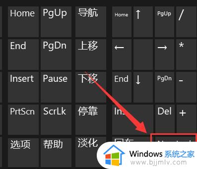 win11笔记本键盘用不了怎么办_win11笔记本键盘失灵怎么处理