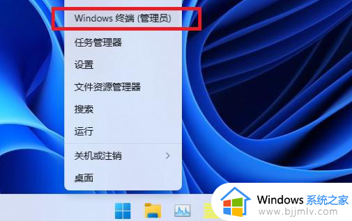 win11安装net3.5不成功怎么办_win11系统net3.5安装不上处理方法