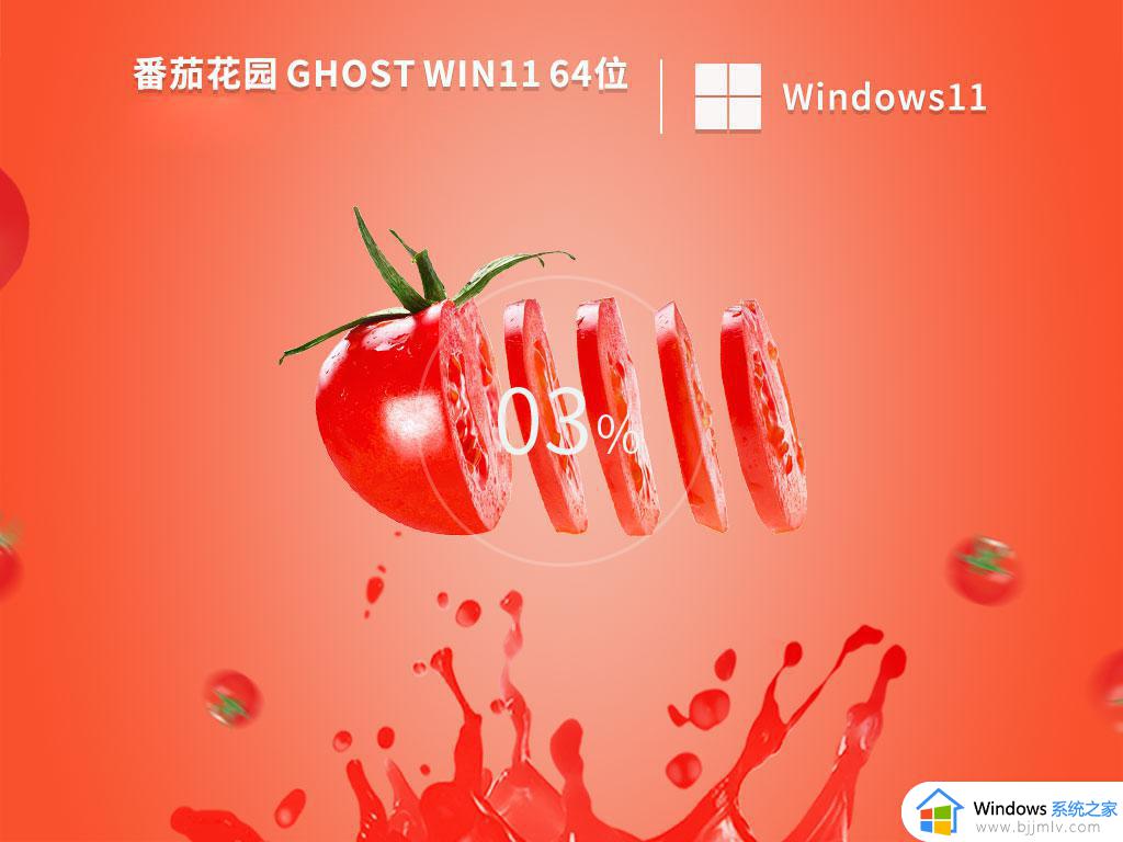 番茄花园ghost win11 64位正式免激活版下载v2024.05