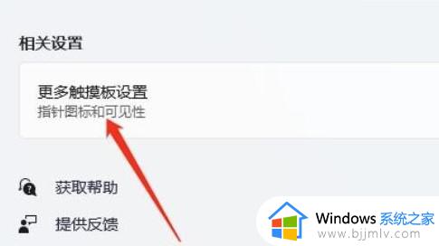 win11笔记本如何关闭触摸板_win11怎么关闭笔记本电脑触摸板