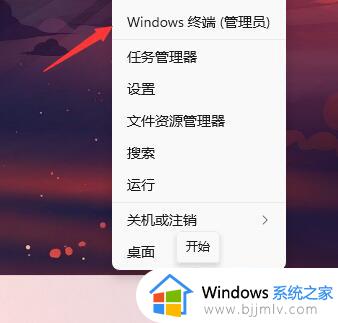 windows11预览体验计划怎么退出_windows11退出预览体验计划如何操作