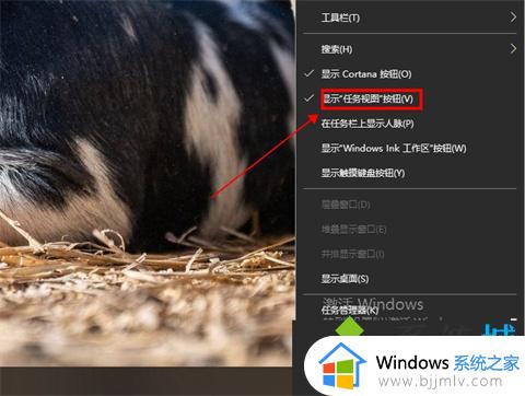 win10怎么使用任务视图快捷键_win10任务视图快捷键是什么