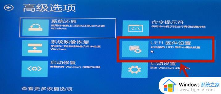 win10怎么开启vt_win10开启vt虚拟化功能的步骤