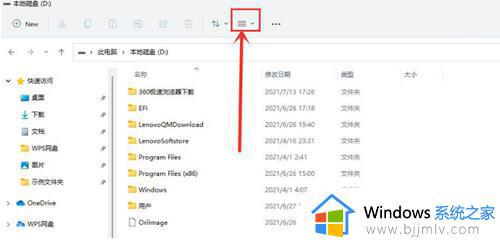 怎么查看隐藏文件win11_win11如何查看隐藏文件