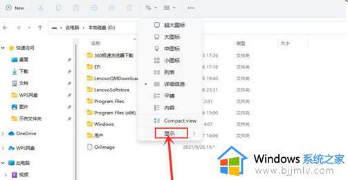 怎么查看隐藏文件win11_win11如何查看隐藏文件