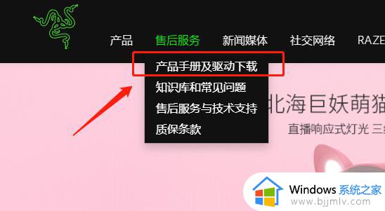 雷蛇驱动怎么下载_雷蛇鼠标驱动下载教程