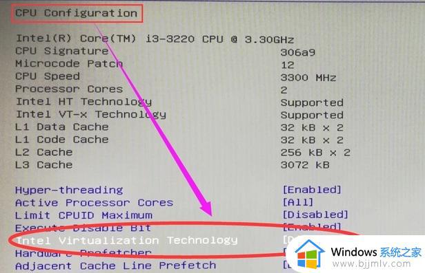 vt怎么开启_如何开启vt虚拟化技术
