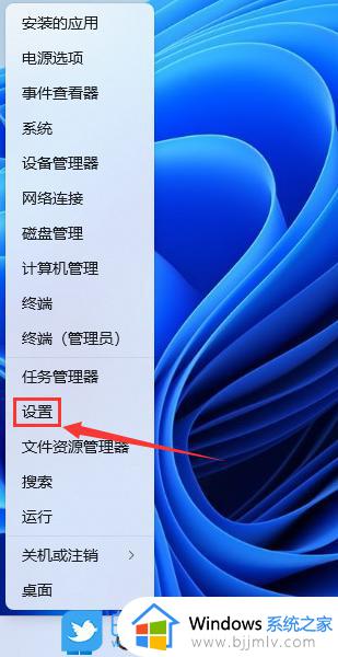 win110x80248007安装更新错误怎么办 更新win11错误0x80248007如何解决