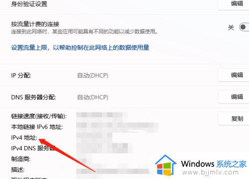 win11电脑ip地址在哪里看_win11电脑ip地址怎么查看