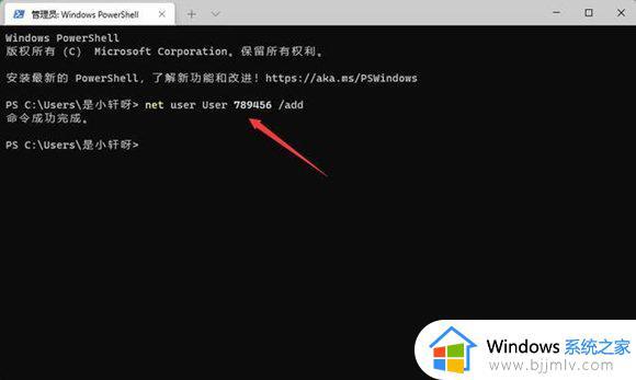 win11显示为了对电脑进行保护,已经阻止此应用如何解决