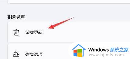 win11 22h2系统如何删除系统更新文件_win11 22h2删除系统更新文件的步骤