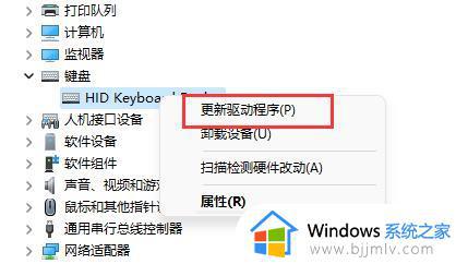 win11键盘鼠标全失灵解决办法_win11鼠标键盘全不能用如何修复