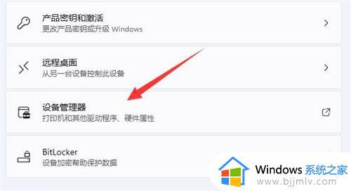 笔记本电脑显卡配置怎么看win11_win11笔记本怎么查看显卡配置