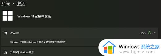 怎么查询win11是否激活_win11如何查看激活状态