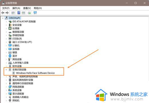 windows11人脸识别不可用怎么办_windows11面部识别用不了怎么弄