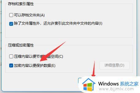 win11文件夹怎么设置密码_win11文件夹加密的常用方法