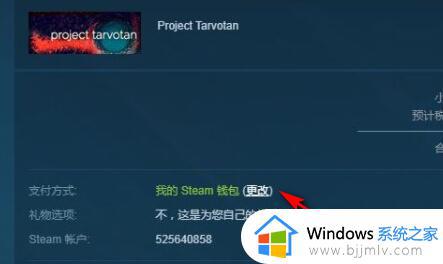 steam土耳其区怎么支付_steam土耳其区支付的步骤