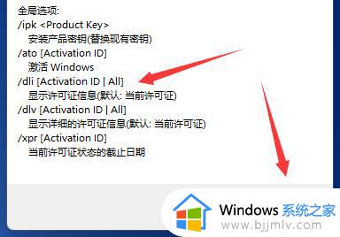 windows11激活时间查询方法_win11怎么查询激活时间