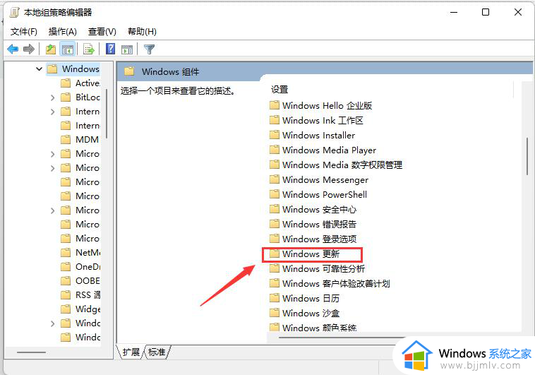 windows11怎么手动更新_windows11手动更新步骤