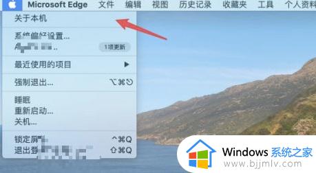 苹果电脑win10系统怎么查型号_win10如何查看苹果电脑型号