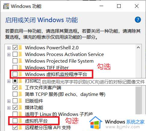 win10安装虚拟机蓝屏怎么办_win10电脑虚拟机安装时候出现蓝屏如何解决