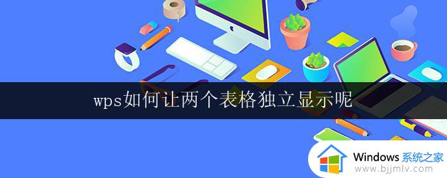 wps如何让两个表格独立显示呢 如何让两个表格在wps表格中独立显示